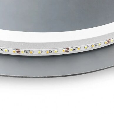 Netaisyklingos formos LED veidrodis su nerasojimo funkcija NF02 (60x100) 5